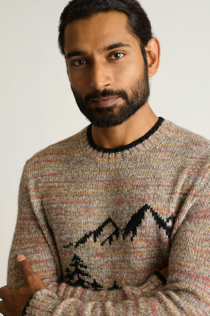 Bear Stroll Sweater