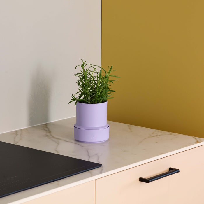 Billund self-watering pot, lavender