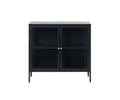 The Dion Two-Door Cabinet in black showcases a sturdy metal framework and modern tempered glass doors, with two interior shelves and four short legs. The cabinet is displayed against a plain white background.