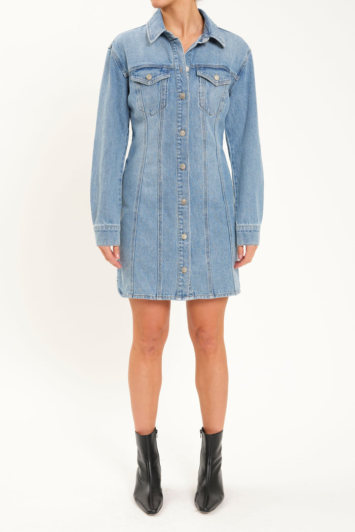 Dolly Denim Dress in That Girl