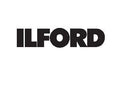 Ilford Delta 100 4x5 - 100 sheets.