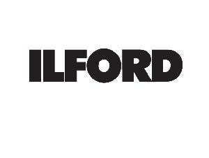 Ilford Delta 100 4x5 - 100 sheets.