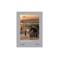 Joan Fontcuberta: Photobolsillo