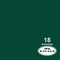 Savage 107"x12 Yards Seamless Paper Background - Evergreen