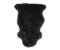 The Sheepskin Throw - Black features an irregular, animal-hide shape and is crafted from luxurious New Zealand sheepskin in Sheepskin Black, shown against a white background.