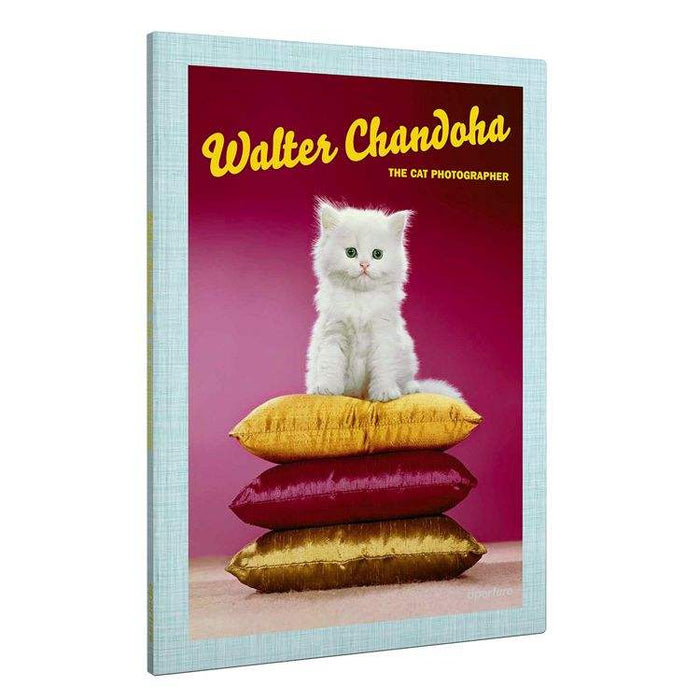 Walter Chandoha: The Cat Photographer